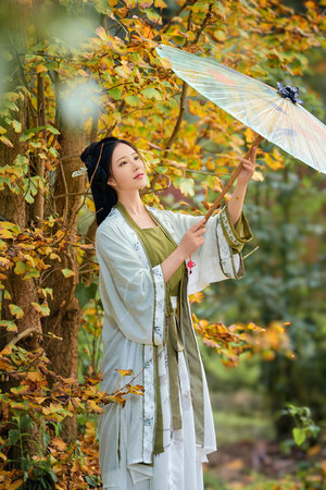 小骚菊