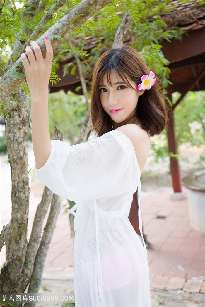 老卫和淑芬